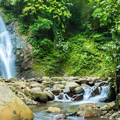 VALENTINE TRAVEL TOURS LTD