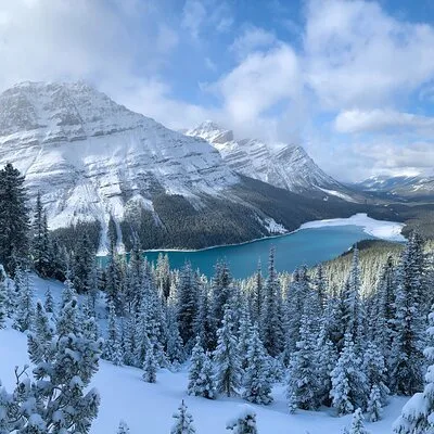 Hop On Banff Ltd.