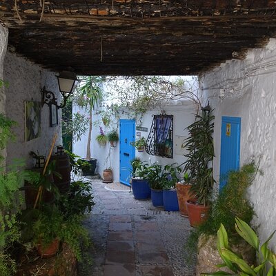 Private walking tour around the Old Town of Frigiliana