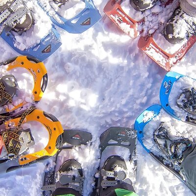 Snowshoeing tour with Wild Lunch