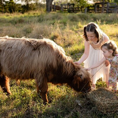 Morning Farm Experience near Gympie & Noosa
