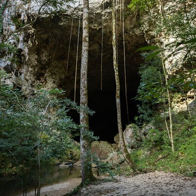 MayaWalk Tours