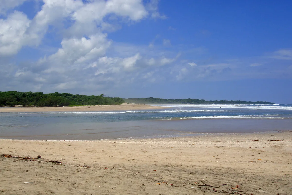 Turtle Watching Night Tours in Tamarindo with Expert Naturalist