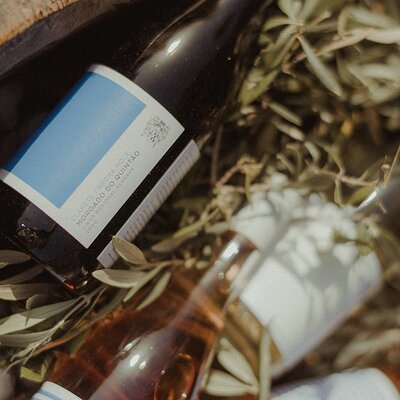 Experience Wine Break in Portugal