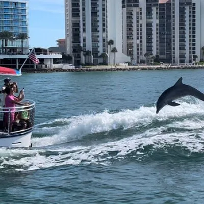 Encounters With Dolphins