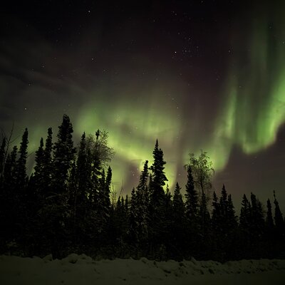 Aurora Bus Tours