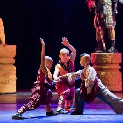 VIP Seated Kungfu Show With Dinner Option and Transportation