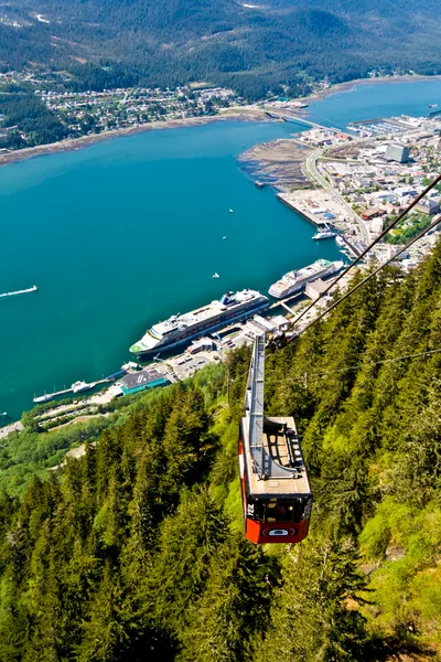 Juneau Mendenhall Glacier Visitor Center and Ultimate Whale Watch Combo
