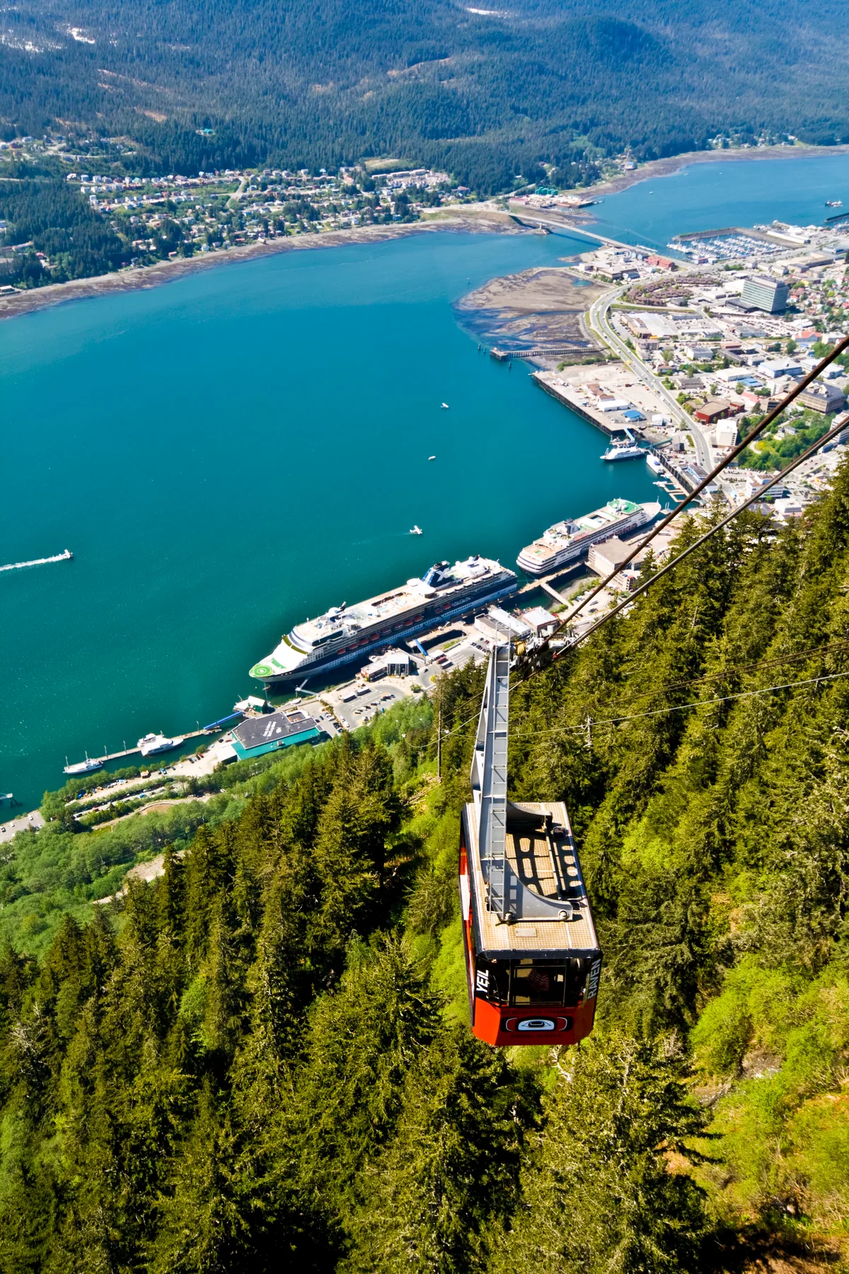 Juneau Mendenhall Glacier Visitor Center and Ultimate Whale Watch Combo