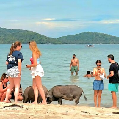 Backpacker Samui Travel