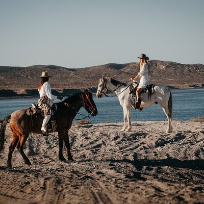 Beach and Desert Scenic Horseback Ride in Baja California Sur
