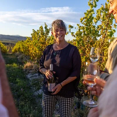 Explore Marlborough Wine Tours