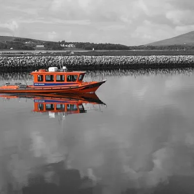 Dingle Bay Speed Boat Tours and Great Blasket Island Experience