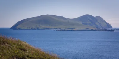 Great Blasket Island Boat Tour from Dingle with Island Landing