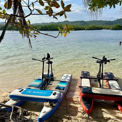 Siargao Sunset Paddle Board and Firefly Watching