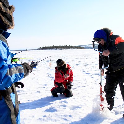 Ivalo Safaris / Lenje Avoin YhtiÃ¶