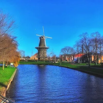Dutch Windmills & Polder Walking Tour