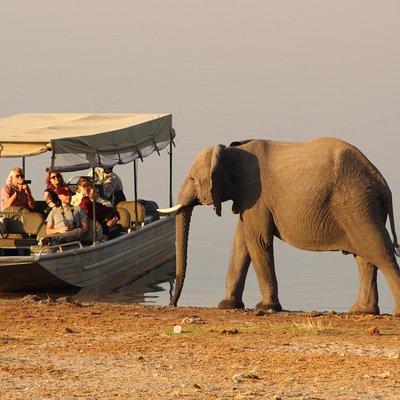Wild Africa Safaris