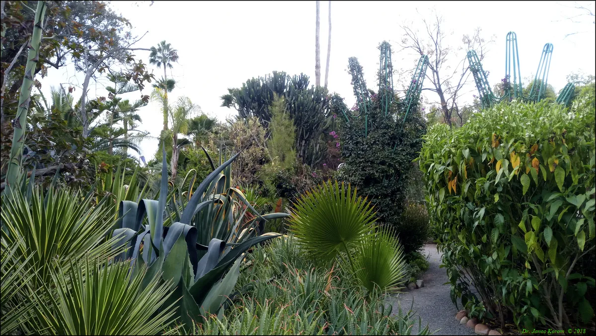 ANIMA Garden Admission Ticket in Marrakech with Round-Trip Shared Transfer