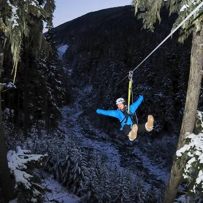 Ziptrek Ecotours
