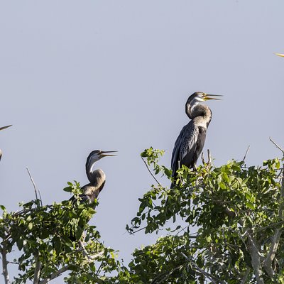 Bundala National Park Private Safari with Naturalist
