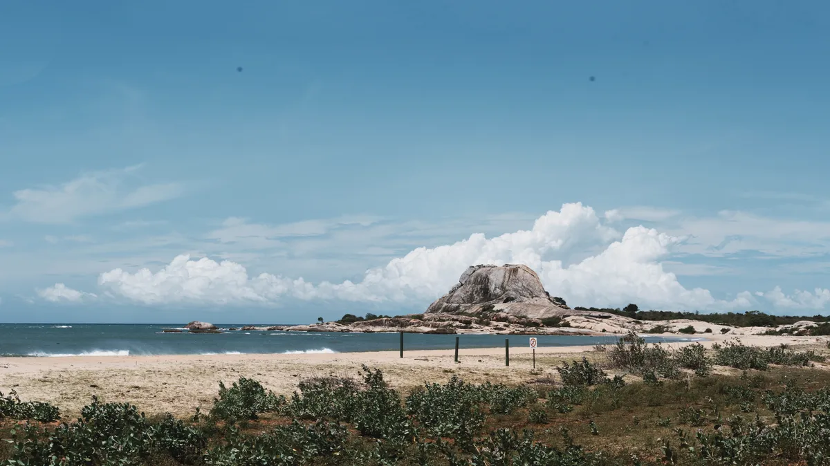 Yala National Park Full-Day or Half-Day WildlifeAdventure Safari