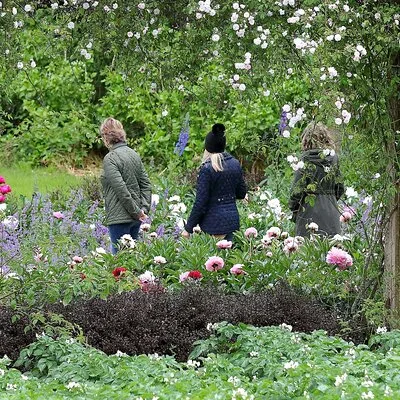 Guided Thursday Tours at Mount Congreve Gardens