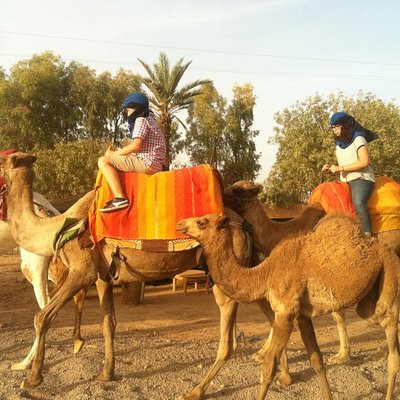 Marrakech Camel Ride Tour