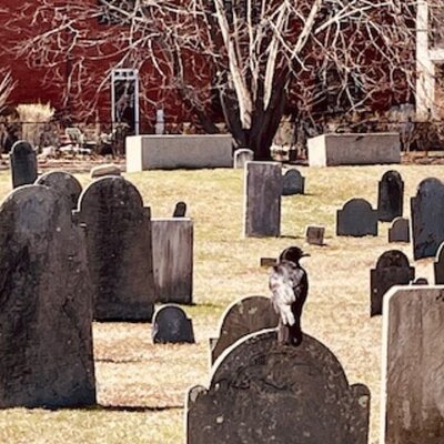Salem Guided Tours