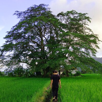 Sidemen Trekking with Cultural Encounters and Nature Views