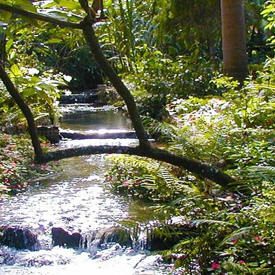 Private Tour From Ocho Rios To Konoko Falls And Garden and Shopping