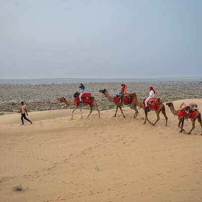 Trotters Tours Travels Camel Safari