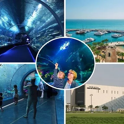 Private Hamad Port Tour in Mesaieed |Aquarium |Maritime Museum