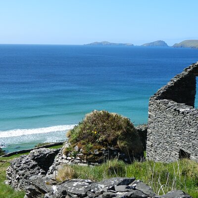 Wild Atlantic Tours