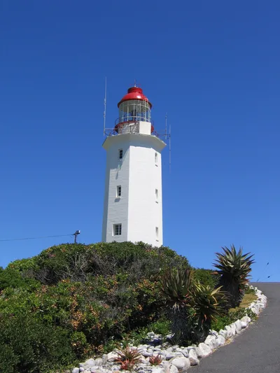 Whale Watching Boat Tour from Gansbaai