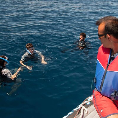 Terceira Island: Snorkeling Wildlife | Protected Areas