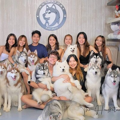 Huskitory Connecting People and Dogs
