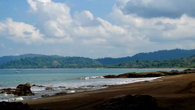 Pacheco Tours Corcovado National Park Sirena Day Trip by Boat from Drake Bay