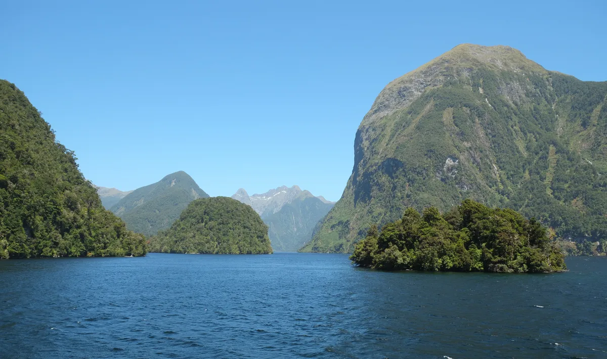 Milford Sound Premium Coach and Nature Cruise with Lunch from Queenstown
