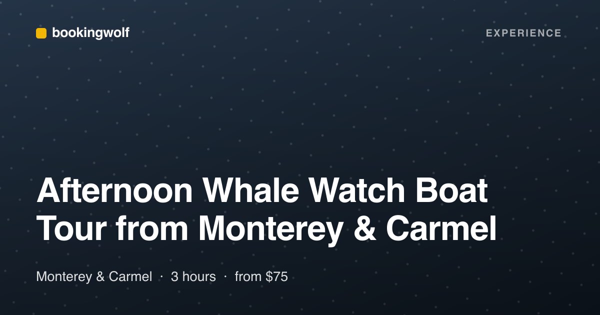 Afternoon Whale Watch Boat Tour from Monterey & Carmel