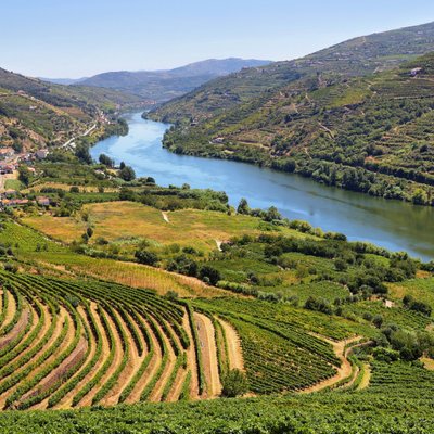Oporto Road Trips