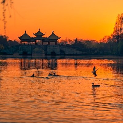 Amazing Shanghai Trip