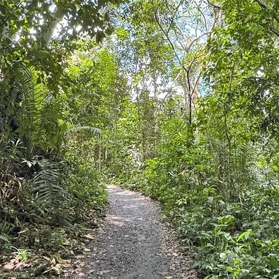 Tour of the 4 beaches and waterfalls in Itacaré