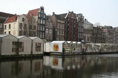 Amsterdam Food and Cultural Walking Tour with Tastings