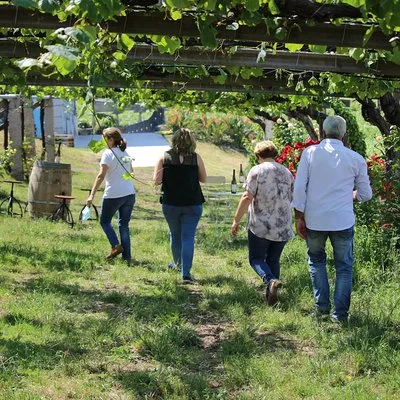 Guided tour of Bodegas Granbazán