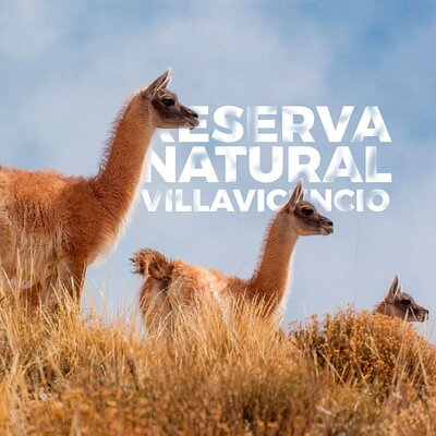 Cepas Turismo