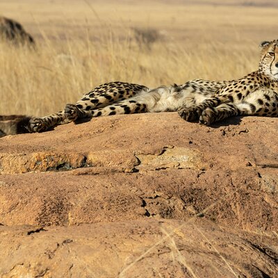 Kichaka Tours and Travel Limited