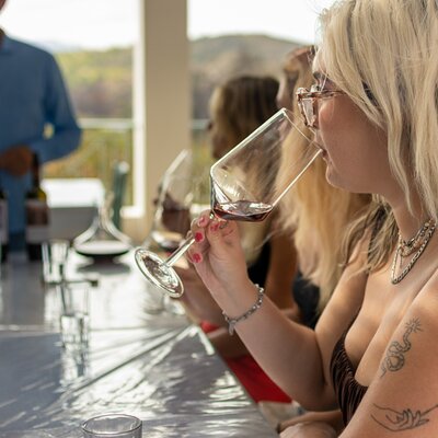 Wine tasting in Rhodes, inside the vineyards with the Producer