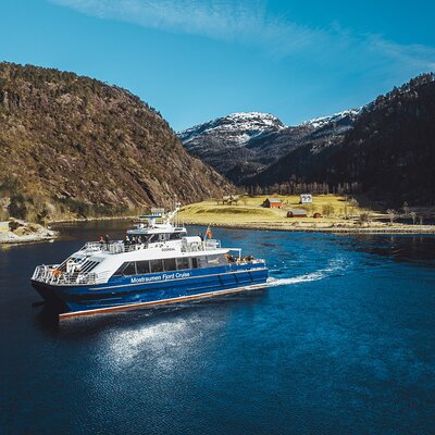 Guided Fjord Tours