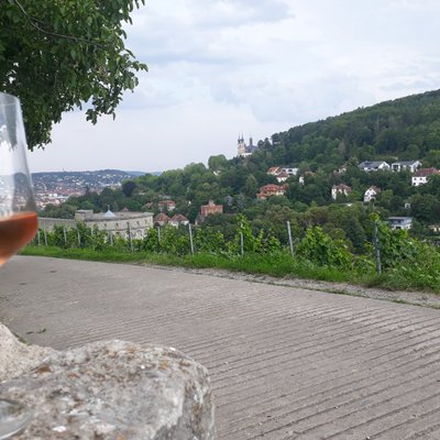 Exclusive wine hike with wine + group experience Würzburg